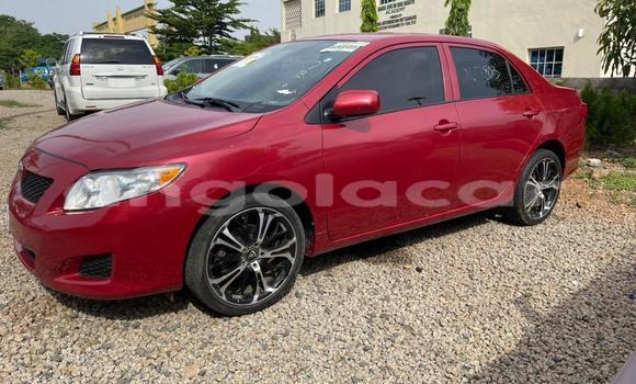 Buy Used Toyota Corolla Red Car in Luanda in Luanda Province