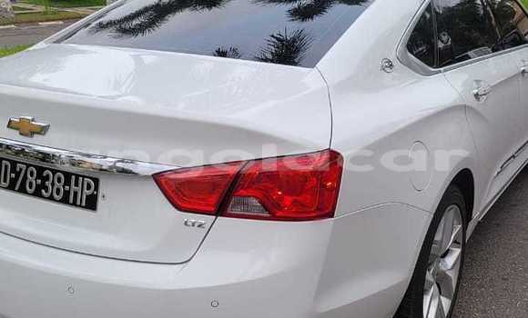Buy Used Chevrolet Impala White Car in Luanda in Luanda Province Buy Used Chevrolet Impala White Car in Luanda in Luanda Province