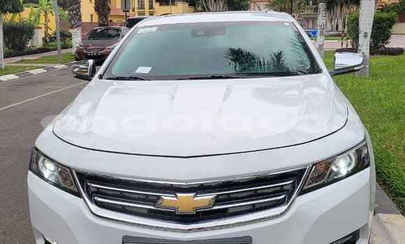 Buy Used Chevrolet Impala White Car in Luanda in Luanda Province Buy Used Chevrolet Impala White Car in Luanda in Luanda Province