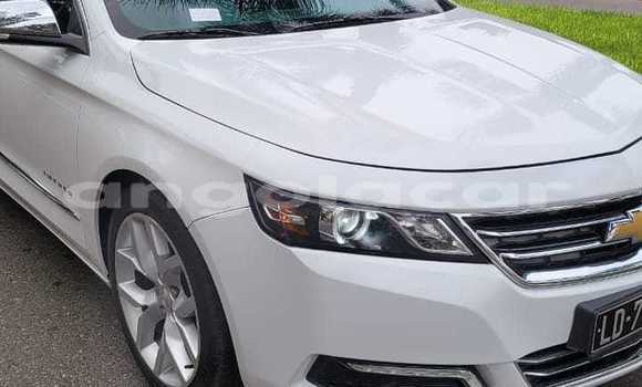 Buy Used Chevrolet Impala White Car in Luanda in Luanda Province Buy Used Chevrolet Impala White Car in Luanda in Luanda Province