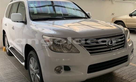 Buy Used Toyota Land Cruiser White Car in Luanda in Luanda Province Buy Used Toyota Land Cruiser White Car in Luanda in Luanda Province