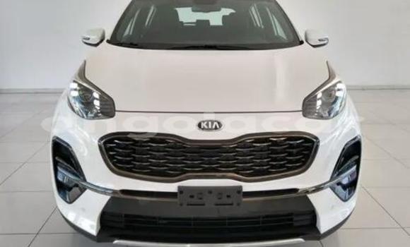 Comprar Usado Kia Sportage Branco Carro em Luanda em Luanda Province