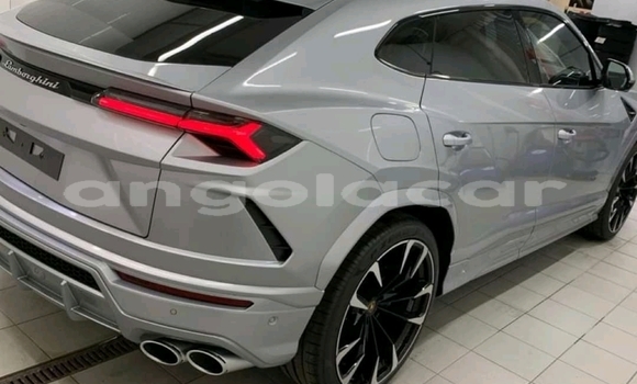 Comprar Usado Lamborghini Urus Outro Carro em Luanda em Luanda Province Comprar Usado Lamborghini Urus Outro Carro em Luanda em Luanda Province