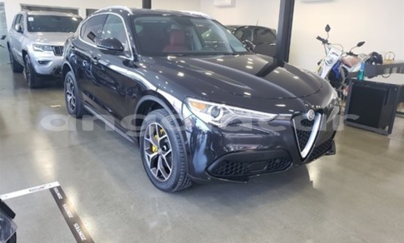 Buy Used Alfa Romeo Stelvio Black Car in Luanda in Luanda Province Buy Used Alfa Romeo Stelvio Black Car in Luanda in Luanda Province