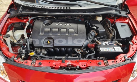 Acheter Occasion Voiture Toyota Corolla Rouge à Luanda, Province de Luanda Acheter Occasion Voiture Toyota Corolla Rouge à Luanda, Province de Luanda