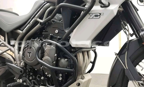 Comprar Usado Triumph Tiger Outro Moto em Luanda em Luanda Province Comprar Usado Triumph Tiger Outro Moto em Luanda em Luanda Province