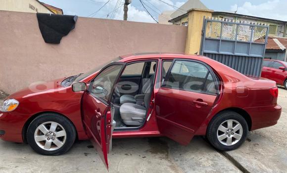 Comprar Usado Toyota Corolla Vermelho Carro em N'zeto em Zaire Comprar Usado Toyota Corolla Vermelho Carro em N'zeto em Zaire