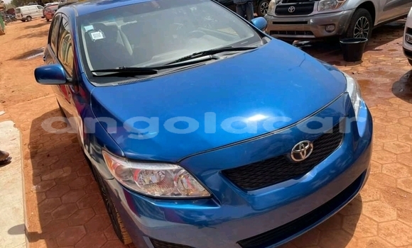 Buy Used Toyota Corolla Blue Car in Luanda in Luanda Province Buy Used Toyota Corolla Blue Car in Luanda in Luanda Province