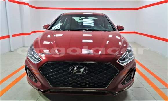 Buy Used Hyundai Sonata Red Car in Luanda in Luanda Province