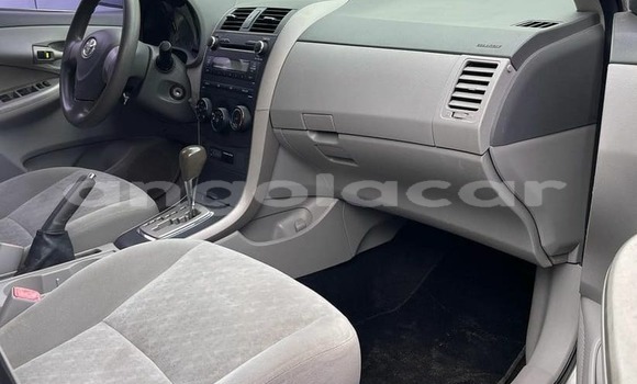 Buy Used Toyota Corolla Silver Car in Luanda in Luanda Province Buy Used Toyota Corolla Silver Car in Luanda in Luanda Province