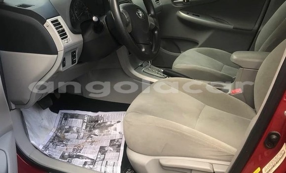 Buy Used Toyota Corolla Red Car in Luanda in Luanda Province Buy Used Toyota Corolla Red Car in Luanda in Luanda Province