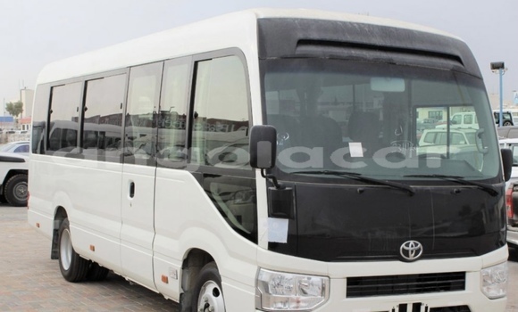 Buy Used Toyota Coaster White Car in Luanda in Luanda Province Buy Used Toyota Coaster White Car in Luanda in Luanda Province