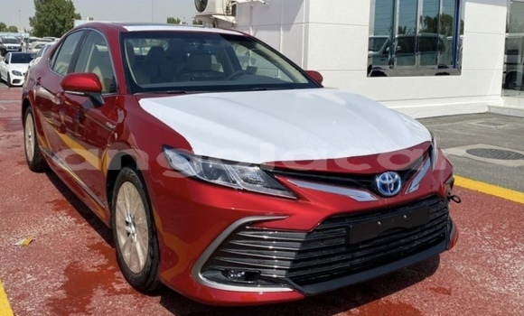 Buy Used Toyota Camry Red Car in Luanda in Luanda Province Buy Used Toyota Camry Red Car in Luanda in Luanda Province