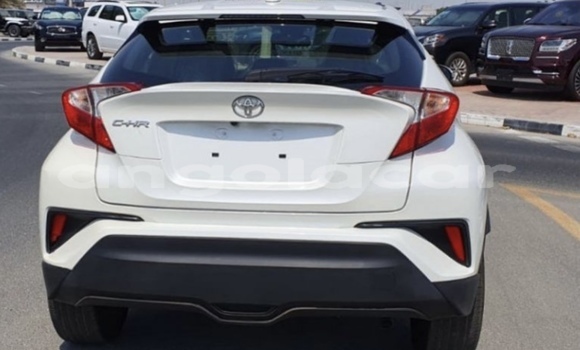 Comprar Usado Toyota C-HR Branco Carro em Luanda em Luanda Province Comprar Usado Toyota C-HR Branco Carro em Luanda em Luanda Province