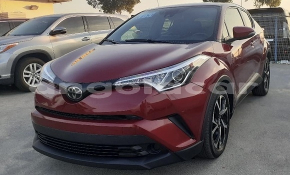 Comprar Usado Toyota C-HR Vermelho Carro em Luanda em Luanda Province Comprar Usado Toyota C-HR Vermelho Carro em Luanda em Luanda Province