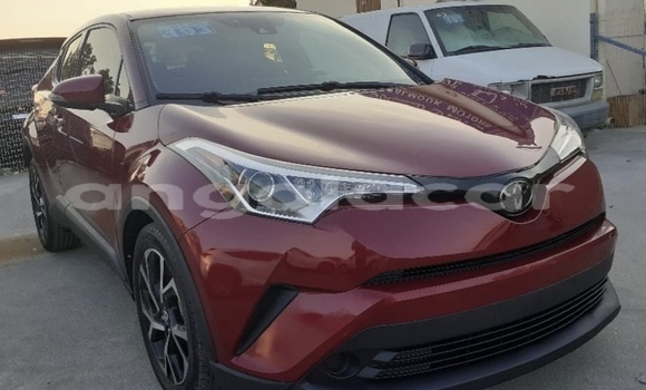 Comprar Usado Toyota C-HR Vermelho Carro em Luanda em Luanda Province Comprar Usado Toyota C-HR Vermelho Carro em Luanda em Luanda Province