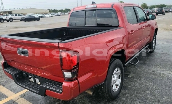 Buy Used Toyota Tacoma Red Car in Luanda in Luanda Province Buy Used Toyota Tacoma Red Car in Luanda in Luanda Province