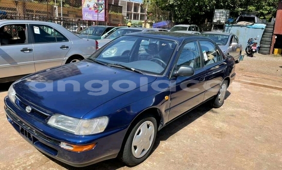 Buy Used Toyota Corolla Other Car in Luanda in Luanda Province Buy Used Toyota Corolla Other Car in Luanda in Luanda Province