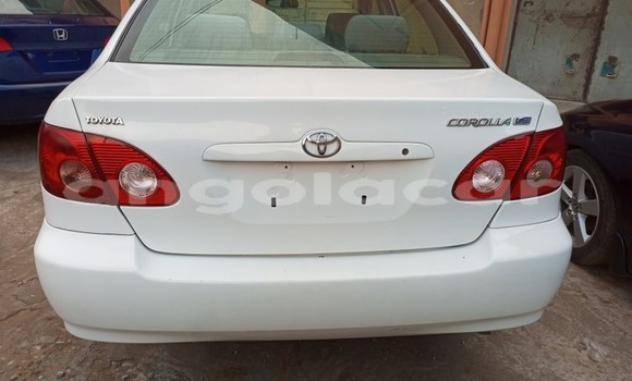 Buy Used Toyota Corolla White Car in Luanda in Luanda Province Buy Used Toyota Corolla White Car in Luanda in Luanda Province
