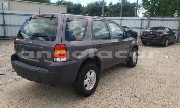 Buy Used Ford Escape Silver Car in Luanda in Luanda Province Buy Used Ford Escape Silver Car in Luanda in Luanda Province