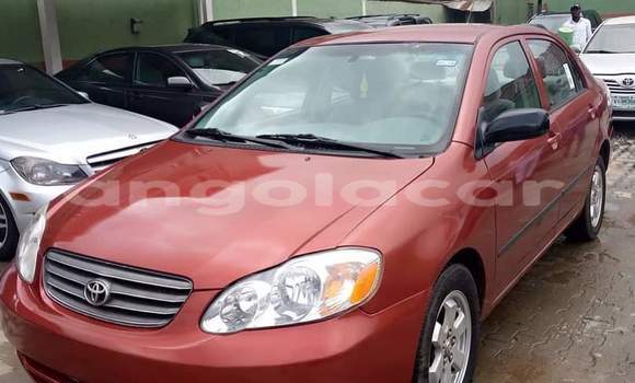 Buy Used Toyota Corolla Red Car in Luanda in Luanda Province Buy Used Toyota Corolla Red Car in Luanda in Luanda Province