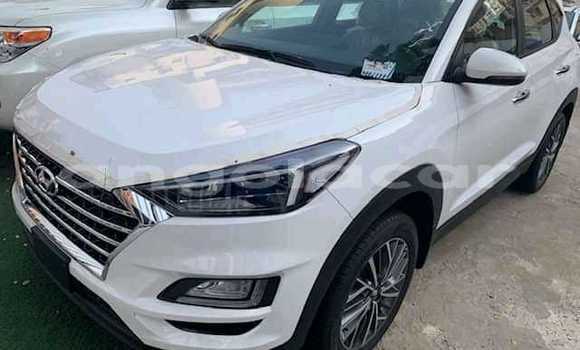 Buy Used Hyundai Tucson White Car in Luanda in Luanda Province Buy Used Hyundai Tucson White Car in Luanda in Luanda Province