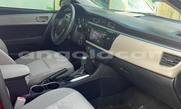 Comprar Usado Toyota Corolla Vermelho Carro em Luanda em Luanda Province Comprar Usado Toyota Corolla Vermelho Carro em Luanda em Luanda Province