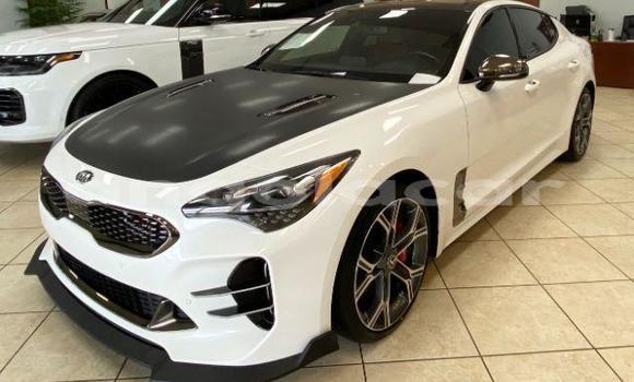 Buy Used Kia Stinger White Car in Luena in Moxico Buy Used Kia Stinger White Car in Luena in Moxico