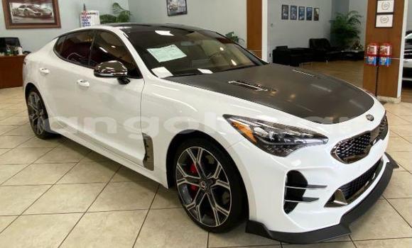 Buy Used Kia Stinger White Car in Luena in Moxico Buy Used Kia Stinger White Car in Luena in Moxico