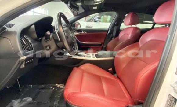 Buy Used Kia Stinger White Car in Luena in Moxico Buy Used Kia Stinger White Car in Luena in Moxico