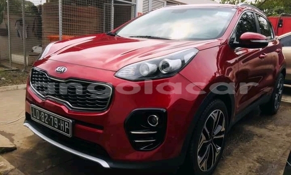 Buy Used Kia Sportage Red Car in Luanda in Luanda Province Buy Used Kia Sportage Red Car in Luanda in Luanda Province