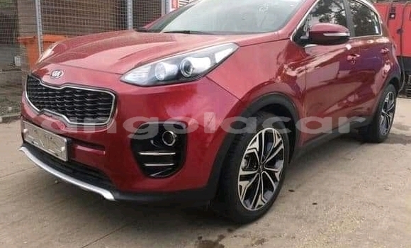 Buy Used Kia Sportage Red Car in Luanda in Luanda Province Buy Used Kia Sportage Red Car in Luanda in Luanda Province