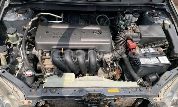 Comprar Usado Toyota Corolla Preto Carro em Luanda em Luanda Province Comprar Usado Toyota Corolla Preto Carro em Luanda em Luanda Province