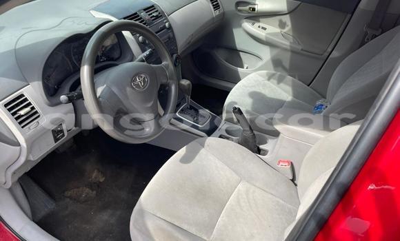 Comprar Usado Toyota Corolla Vermelho Carro em Luanda em Luanda Province Comprar Usado Toyota Corolla Vermelho Carro em Luanda em Luanda Province