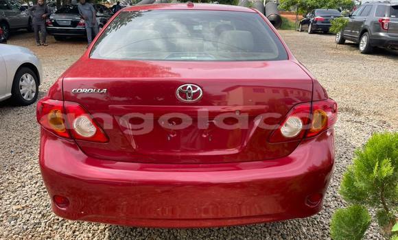 Comprar Usado Toyota Corolla Vermelho Carro em Luanda em Luanda Province Comprar Usado Toyota Corolla Vermelho Carro em Luanda em Luanda Province