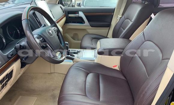 Acheter Occasion Voiture Toyota Land Cruiser Noir à Luanda, Province de Luanda Acheter Occasion Voiture Toyota Land Cruiser Noir à Luanda, Province de Luanda