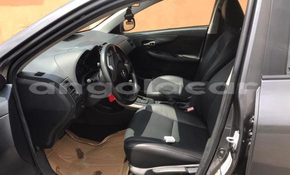 Comprar Usado Toyota Corolla Outro Carro em Luanda em Luanda Province Comprar Usado Toyota Corolla Outro Carro em Luanda em Luanda Province