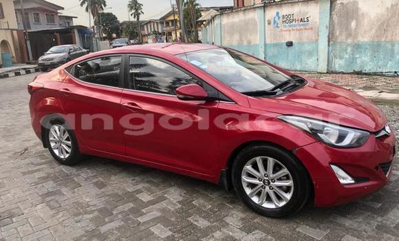 Buy Used Hyundai Elantra Red Car in Luanda in Luanda Province Buy Used Hyundai Elantra Red Car in Luanda in Luanda Province