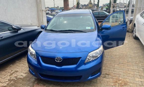 Buy Used Toyota Corolla Blue Car in Luanda in Luanda Province Buy Used Toyota Corolla Blue Car in Luanda in Luanda Province