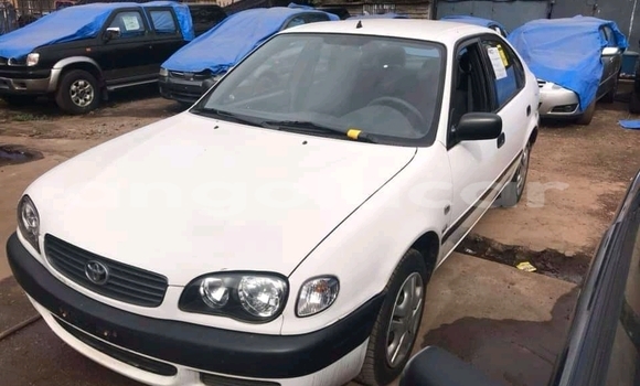 Acheter Occasion Voiture Toyota Corolla Blanc à Luanda, Province de Luanda Acheter Occasion Voiture Toyota Corolla Blanc à Luanda, Province de Luanda