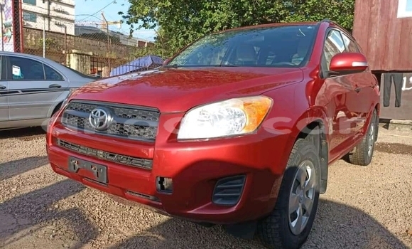 Buy Used Toyota RAV4 Red Car in Luanda in Luanda Province
