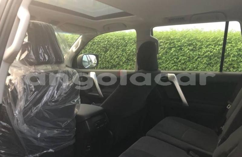 Big with watermark main 8