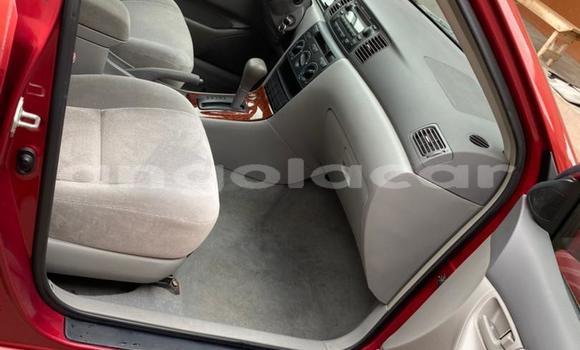 Comprar Usado Toyota Corolla Vermelho Carro em Luanda em Luanda Province Comprar Usado Toyota Corolla Vermelho Carro em Luanda em Luanda Province