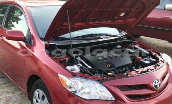 Comprar Usado Toyota Corolla Vermelho Carro em Luanda em Luanda Province Comprar Usado Toyota Corolla Vermelho Carro em Luanda em Luanda Province