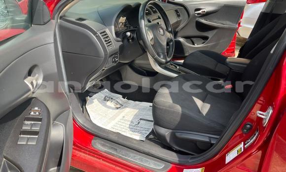 Acheter Occasion Voiture Toyota Corolla Rouge à Luanda, Province de Luanda Acheter Occasion Voiture Toyota Corolla Rouge à Luanda, Province de Luanda