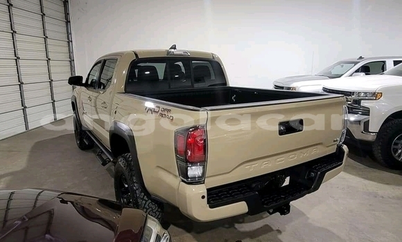 Buy Used Toyota Tacoma Other Car in Luanda in Luanda Province Buy Used Toyota Tacoma Other Car in Luanda in Luanda Province