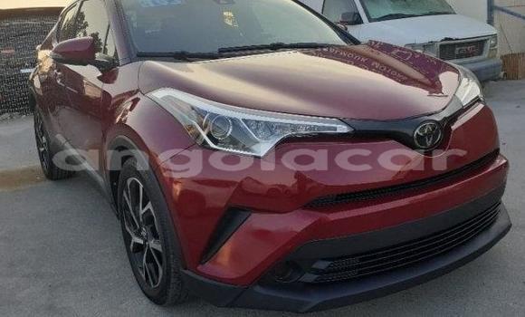 Acheter Occasion Voiture Toyota C-HR Rouge à Luanda, Province de Luanda