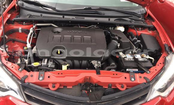 Acheter Occasion Voiture Toyota Corolla Rouge à Luanda, Province de Luanda Acheter Occasion Voiture Toyota Corolla Rouge à Luanda, Province de Luanda