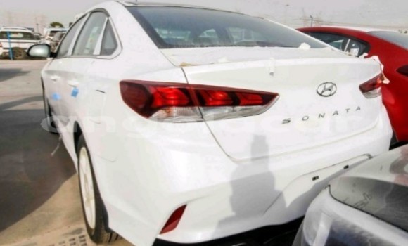 Buy Used Hyundai Sonata White Car in Luanda in Luanda Province Buy Used Hyundai Sonata White Car in Luanda in Luanda Province
