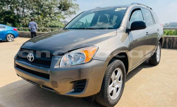 Buy Used Toyota RAV4 Silver Car in Luanda in Luanda Province Buy Used Toyota RAV4 Silver Car in Luanda in Luanda Province